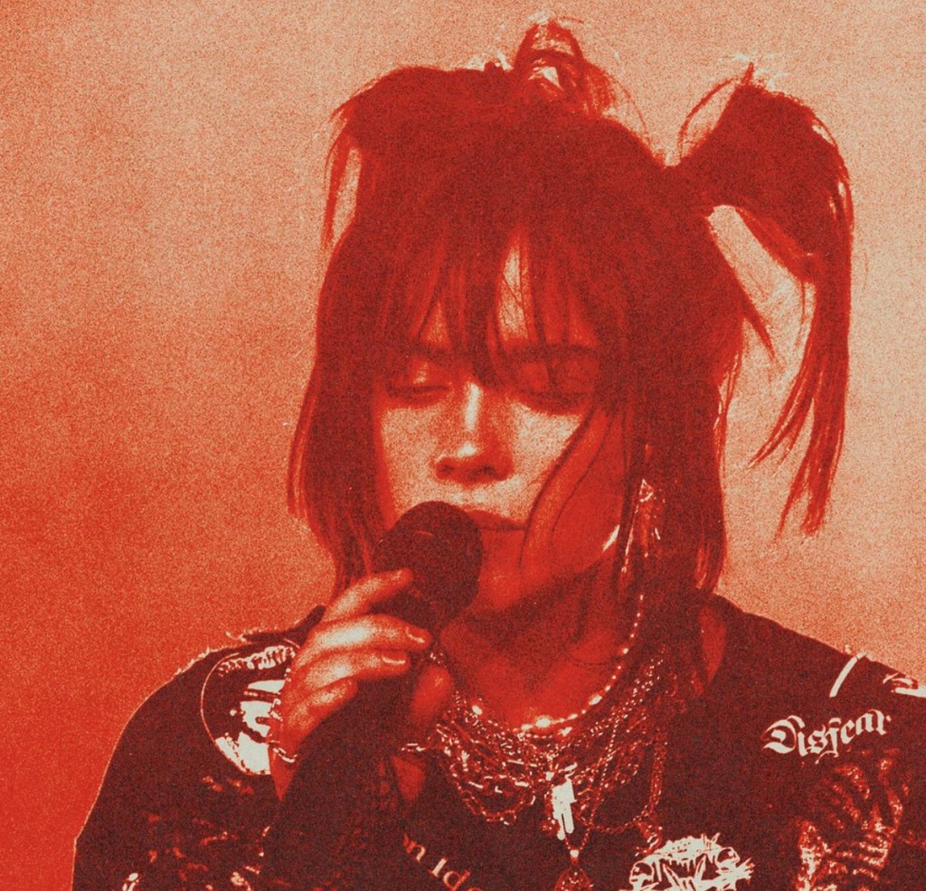 Billie eilish concert